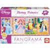 Detské puzzle Panoráma Princezné Educa 100 dielov 13500 farebné
