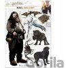 Cinereplicas Sada magnetek Harry Potter Hagrid