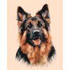 ZUTY Maľovanie podľa čísel - NEMECKÝ OVČIAK Rámovanie: vypnuté plátno na rám, Rozmer: 80x100 cm