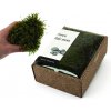 KreaBox - Vlasový mach - Hair moss