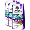 Velxara BALANCED Dry FM Dog Adult Monoprotein Lamb & Rice 3 x 12 kg