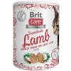 BRIT Care Cat Snack Superfruits lamb 100 g
