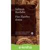 E-kniha Pán Zlatého domu - Salman Rushdie