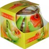 Parafínová vonná sviečka Honey & Melon Admit 1 ks