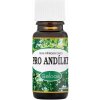 Saloos - Pre anjelikov 10 ml