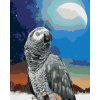 ZUTY Maľovanie podľa čísel - PAPAGÁJ A MESIAC Rámovanie: vypnuté plátno na rám, Rozmer: 80x100 cm
