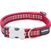 Red Dingo Reflective Bones