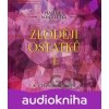Zloději ostatků I. - Vlastimil Vondruška