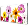 Sklenený obklad Do kuchyne Farebné kvety príroda 100x50 cm