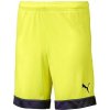Puma cup