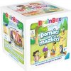 Asmodee Czech Republic BrainBox Domácí mazlíčci - CZ