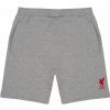 Liverpool FC Pánske flísové šortky Liverpool FC, sivé, vyšitý znak Veľkosť: M