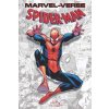 Marvel Verse Spiderman