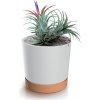 PROSPERPLAST Kvetináč TUBO PM 19,9cm biely naturo