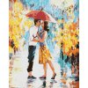 Diamantové maľovanie Diamondi - MILENCI V PARÍŽI S Dáždnikom II, 40x50 cm, vypnuté plátno na rám (604609B)