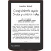 PocketBook 634 Verse Pro