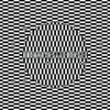 Carter Tutti Void - Transverse [CD]
