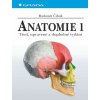 Anatomie 1.