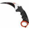 Karambit CS2 Asiimov