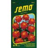 Aksamietnica rozl. Carmen 25 SEMO 9513