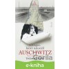 E-kniha Chlapec, ktorý nakreslil Auschwitz - Thomas Geve