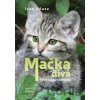 Mačka divá – lovec špecialista - Ivan Kňaze