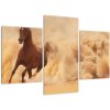 Cválajúci kôň - obraz (Obraz 90x60cm)