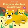 Kde jsou všechna mláďátka? (Sonia Baretti)