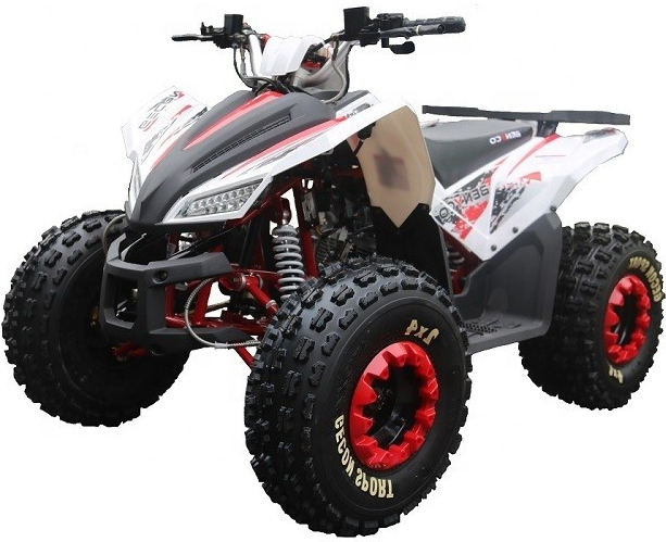 ATV TaoTao Coyote 125