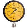 1077589/3 SKF manometer G 1/2, 400 MPa