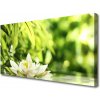 Obraz na plátne Kvet listy 100x50 cm