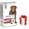 Perfect Fit™ - suché kompletné krmivo pre dospelé psy stredných a veľkých plemien, bohaté na kuracie mäso 11,5 kg + prekvapenie pre vášho psa ZDARMA