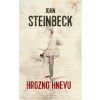 Hrozno hnevu - John Steinbeck