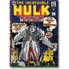 Marvel Comics Library. Hulk. 1962–1966 - Douglas Wolk