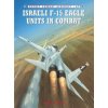 Israeli F-15 Eagle Units in Combat