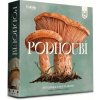 Podhoubí