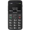 Mobilný telefón Panasonic KX-TU160EXB čierna (TL908B1)