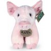 Rappa Plyšové prasiatko 16 cm ECO-FRIENDLY