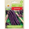 Toraf semená fazuľa špargľová popínavá fialová Blauhilde 10g