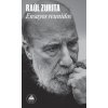 ENSAYOS REUNIDOS (RAUL ZURITA)(Kniha)