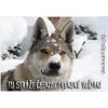 Pozorpes.sk, výstražná tabuľka (Československý vlčiak)