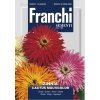 Franchi Cínia kaktusová zmes farieb
