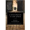 Disturbance in One Place (Binnie Kirshenbaum)()
