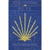 Púte: Cesty za zmyslom života - Peter Stanford
