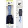 Wet Brush Shine Enhancer kefa na vlasy Sky