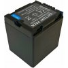 TRX baterie Panasonic CGA-DU21 - Li-Ion 2400mAh