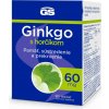 GS Ginkgo 60 mg s horčíkom 90 tabliet