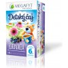 Megafyt detský ovocný čaj s echinaceou 6m+, 20x2g