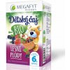 Megafyt Bio LESNÉ PLODY ovocný 40 g