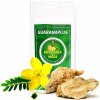 Guaranaplus Kotvičník + Maka prášok 100 g